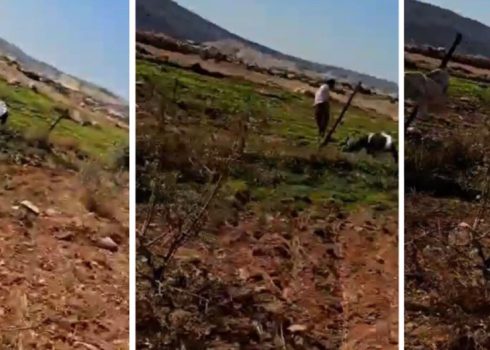 המתנחל תוקף את מוסא ג'בארין ואז נמלט. התמונה באדיבות התושבים