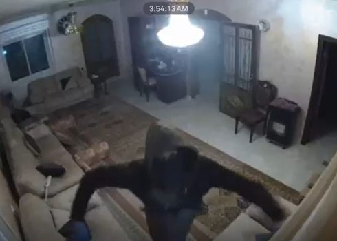 מתנחל משחית מצלמת אבטחה. מתוך התיעוד במצלמות האבטחה