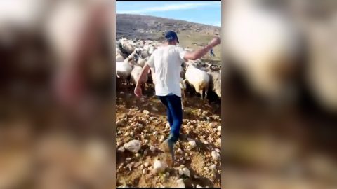 מתוך תיעוד הווידיאו