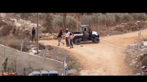 מתוך תיעוד הווידיאו