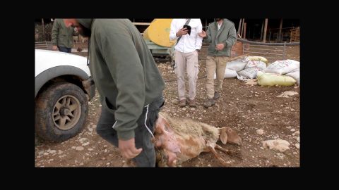מתוך תיעוד הווידיאו