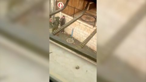 מתוך תיעוד הווידאו