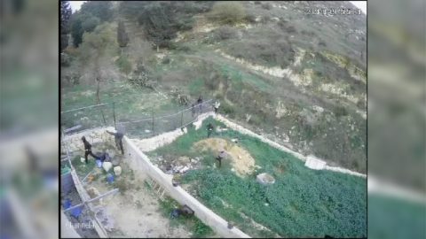 מתוך תיעוד הווידאו