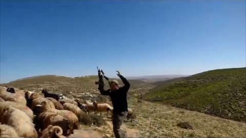 מתוך תיעוד הווידיאו