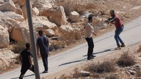 מתוך תיעוד הווידאו