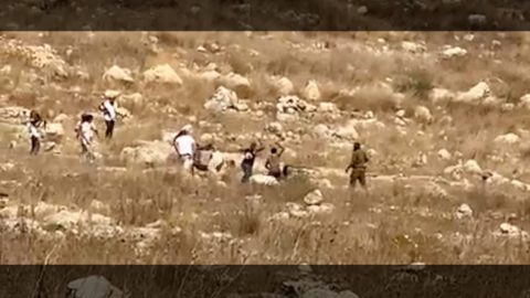מתוך תיעוד הווידאו