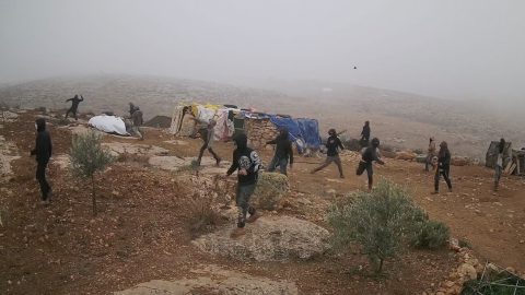 מתוך תיעוד הווידאו