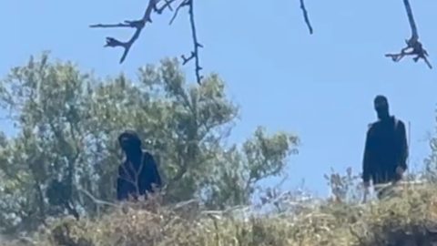 מתוך תיעוד הווידאו