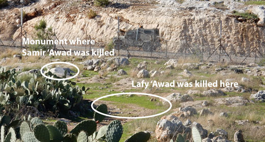 The spot where Lafy ‘Awad was killed and the monument marking the spot where Samir ‘Awad was killed. Photo by Iyad Hadad, B’Tselem, 14 Nov. 2015 