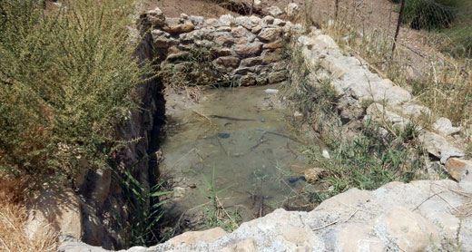 בריכת לאגירת מי מעיין ליד ח'ירבת אל-מאלח שהמנהל האזרחי מתכנן להרוס. צילום: עארף דראר'מה, בצלם, 14.6.16. 