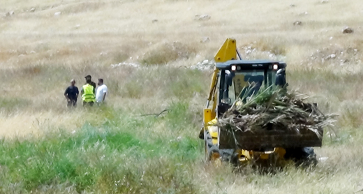 A bulldozer hauling date palms uprooted by the Civil Administration. Photo: 'Aref Daraghmeh, B'Tselem, 5 April 2017 A bulldozer hauling date palms uprooted by the Civil Administration. Photo: 'Aref Daraghmeh, B'Tselem, 5 April 2017