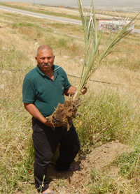 محمد زبيدات، تصوير: عارف ضراغمة، بتسيلم، 5.4.17 محمد زبيدات، تصوير: عارف ضراغمة، بتسيلم، 5.4.17