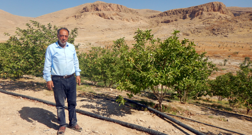 Saleh Daraghmeh. Photo by 'Aref Daraghmeh, B'Tselem, 17 May 2017 Saleh Daraghmeh. Photo by 'Aref Daraghmeh, B'Tselem, 17 May 2017
