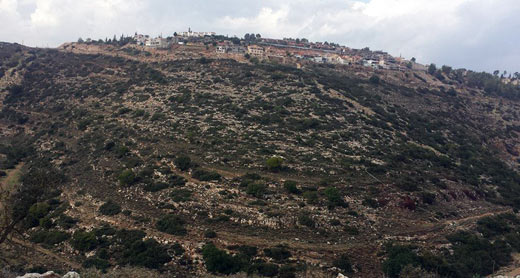 Settlement of Karnei Shomron on slopes of Wadi Qana. Photo: Iyad Mansur