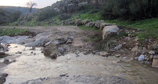Wastewater from settlements flow through Wadi Qana . Photo: Bilal Mansur